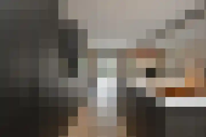 Gravin Othildehof 13 Den Haag thumbnail 9