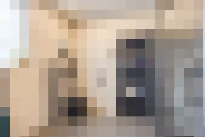 Gravin Sabinastraat 33 Zuid-Beijerland thumbnail 17