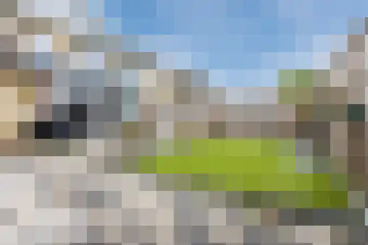 Gravin Sabinastraat 33 Zuid-Beijerland thumbnail 28