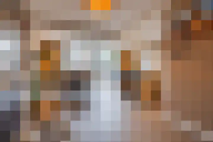 Gravin Sabinastraat 33 Zuid-Beijerland thumbnail 8