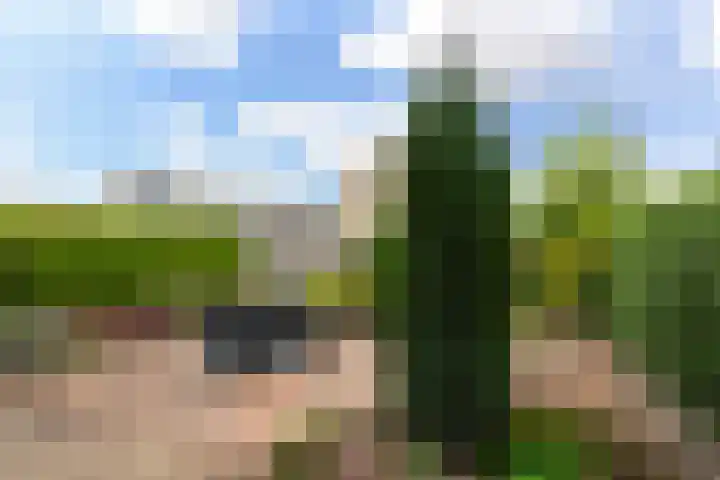 Gravin Sabinastraat 35 Zuid-Beijerland thumbnail 37