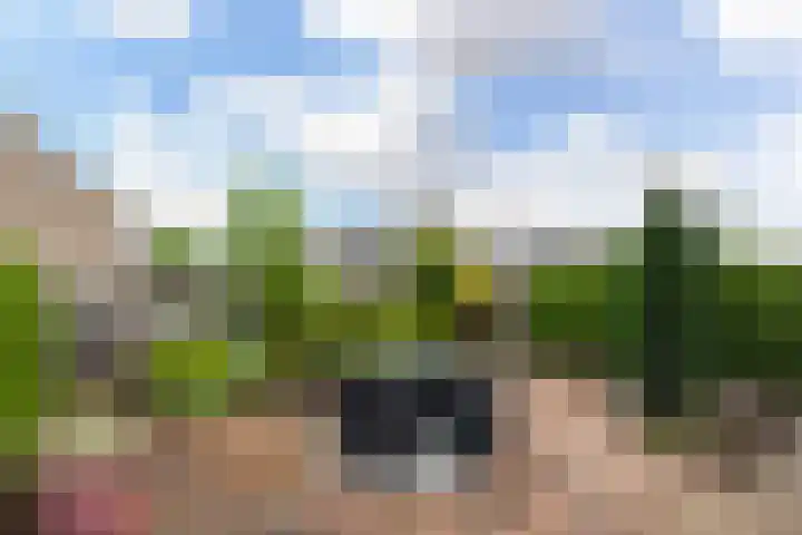 Gravin Sabinastraat 35 Zuid-Beijerland thumbnail 38