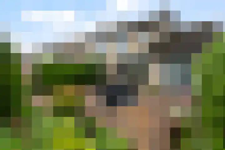 Gravin Sabinastraat 35 Zuid-Beijerland thumbnail 39