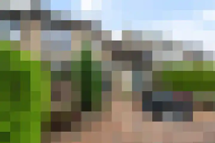 Gravin Sabinastraat 35 Zuid-Beijerland thumbnail 40