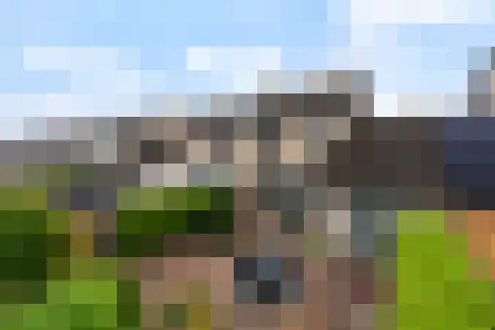 Gravin Sabinastraat 35 Zuid-Beijerland thumbnail 42