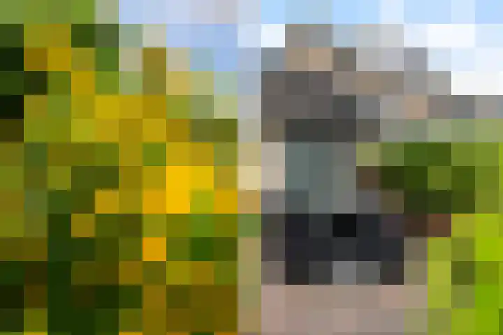 Gravin Sabinastraat 35 Zuid-Beijerland thumbnail 44
