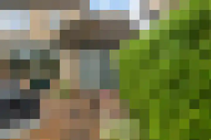 Gravin Sabinastraat 35 Zuid-Beijerland thumbnail 45