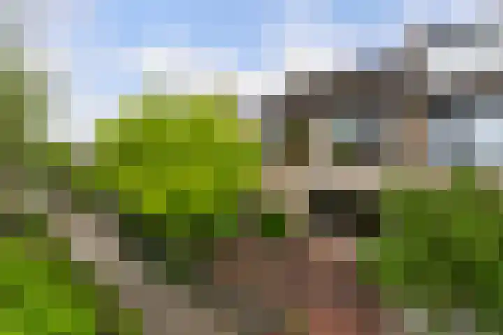 Gravin Sabinastraat 35 Zuid-Beijerland thumbnail 46