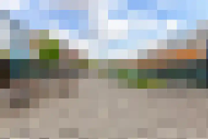 Gravin Sabinastraat 35 Zuid-Beijerland thumbnail 47