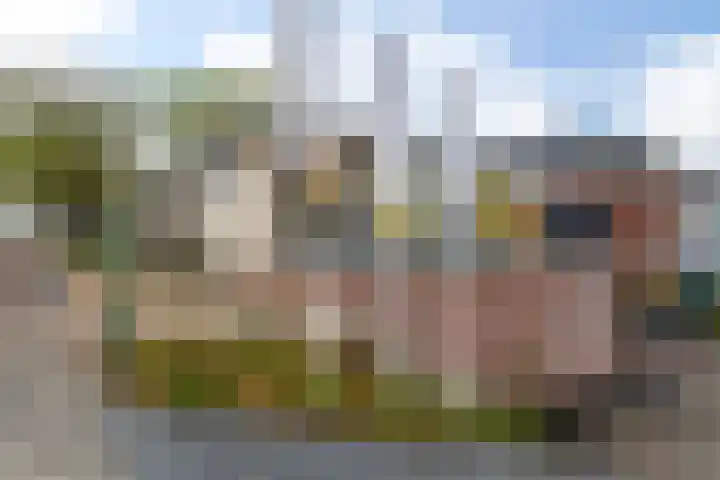 Gravin Sabinastraat 35 Zuid-Beijerland thumbnail 49
