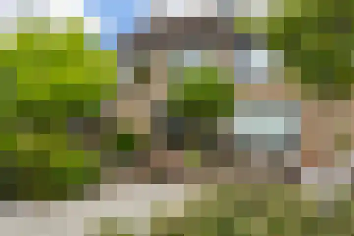 Gravin Sabinastraat 35 Zuid-Beijerland thumbnail 56
