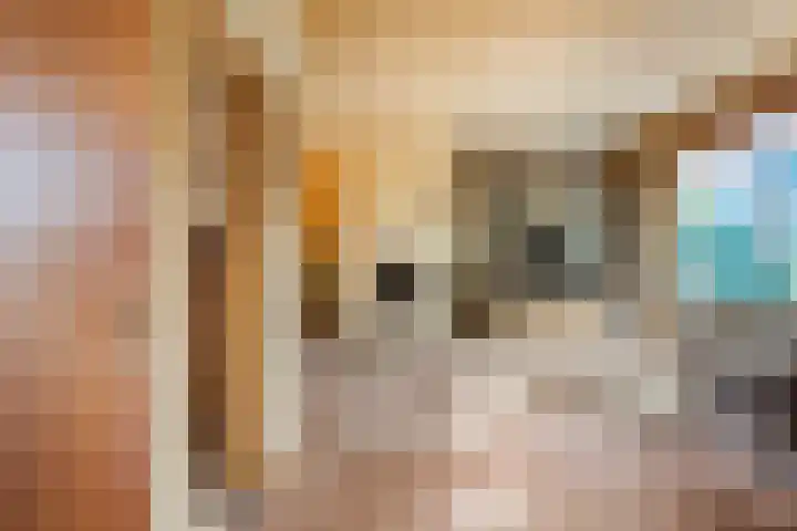Gravin Sabinastraat 35 Zuid-Beijerland thumbnail 7