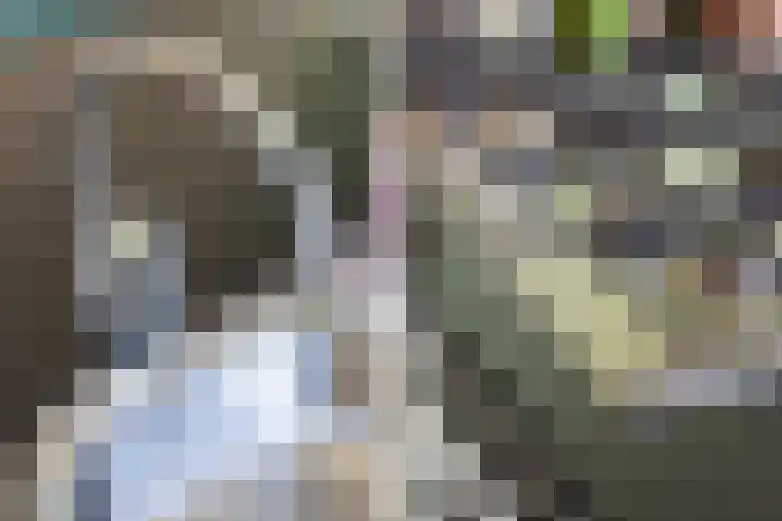 Gravin Sabinastraat 47 Zuid-Beijerland thumbnail 20