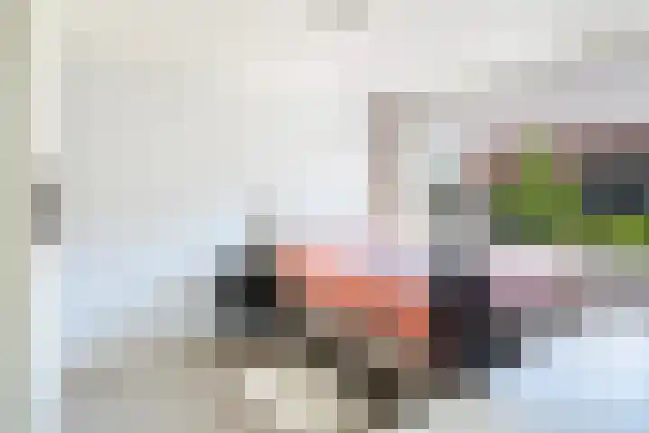 Gravin Sabinastraat 47 Zuid-Beijerland thumbnail 28