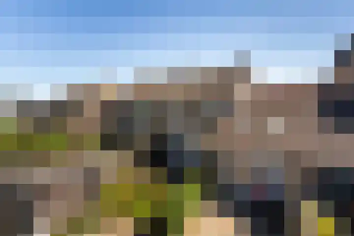 Gravin Sabinastraat 47 Zuid-Beijerland thumbnail 36