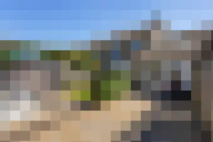Gravin Sabinastraat 47 Zuid-Beijerland thumbnail 38