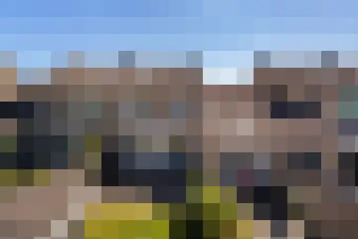 Gravin Sabinastraat 47 Zuid-Beijerland thumbnail 43