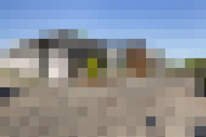Gravin Sabinastraat 47 Zuid-Beijerland thumbnail 46