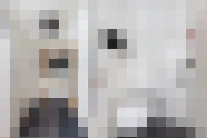 Gravin Sabinastraat 47 Zuid-Beijerland thumbnail 5