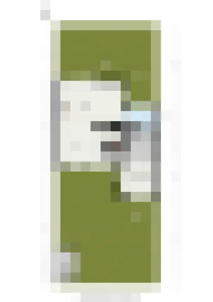 Gravin Sabinastraat 47 Zuid-Beijerland thumbnail 53