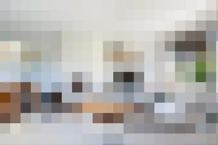 Gravin Sabinastraat 47 Zuid-Beijerland thumbnail 7