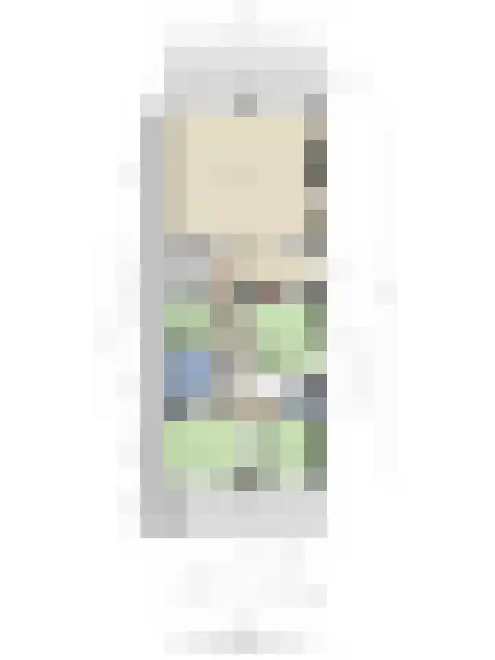 Gravin Sabinastraat 56 A Zuid-Beijerland thumbnail 30
