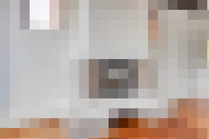 Gravin Sabinastraat 56 A Zuid-Beijerland thumbnail 8