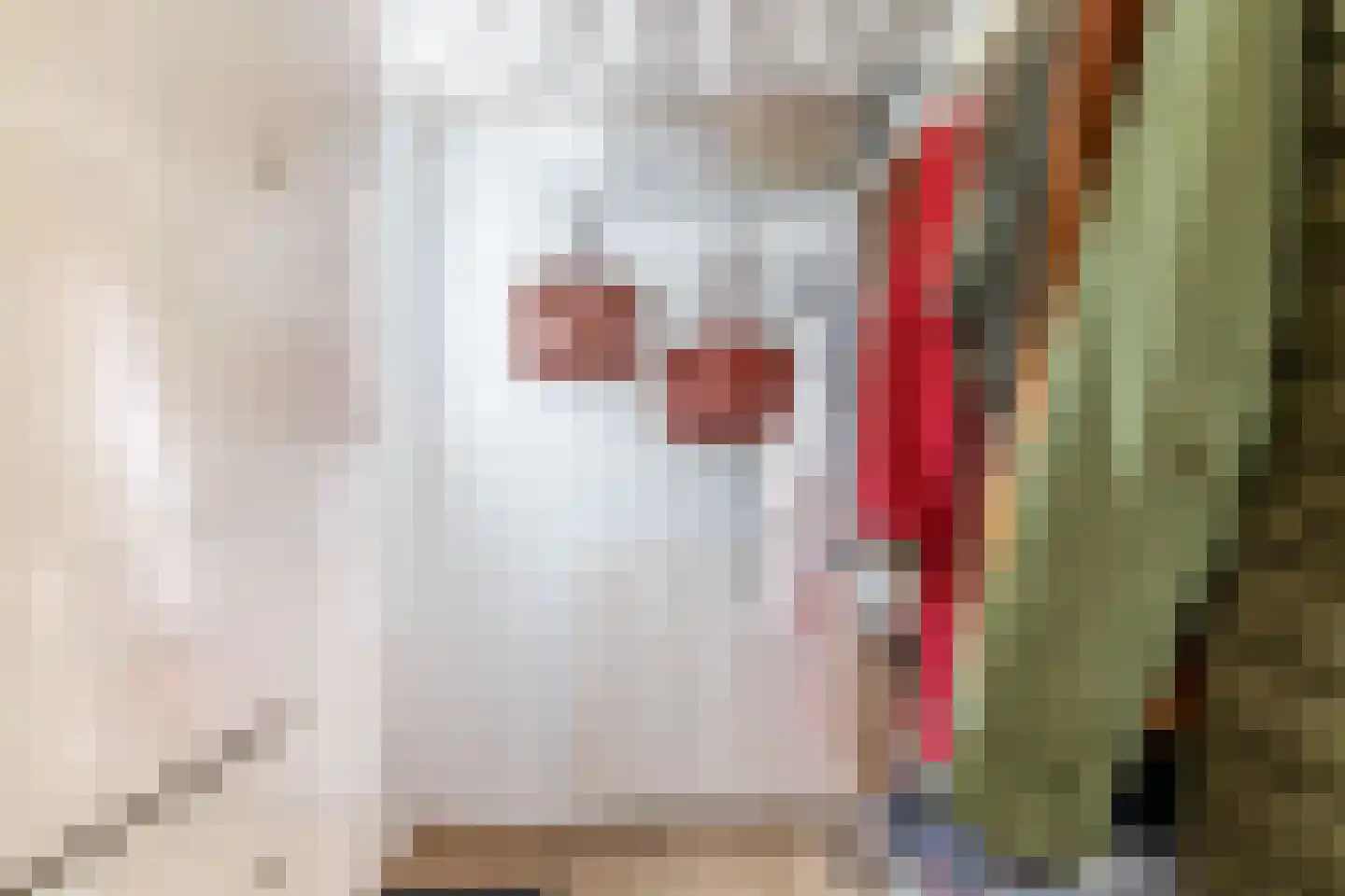 Gravin Sophialaan 3 Nieuwegein thumbnail 10