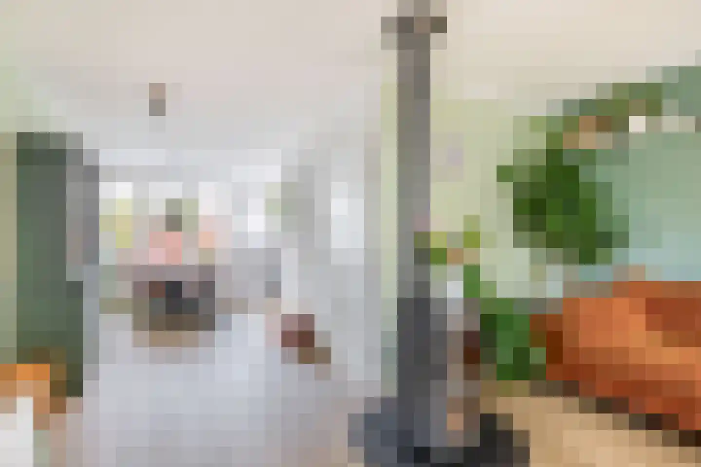 Gravin Sophialaan 3 Nieuwegein thumbnail 12