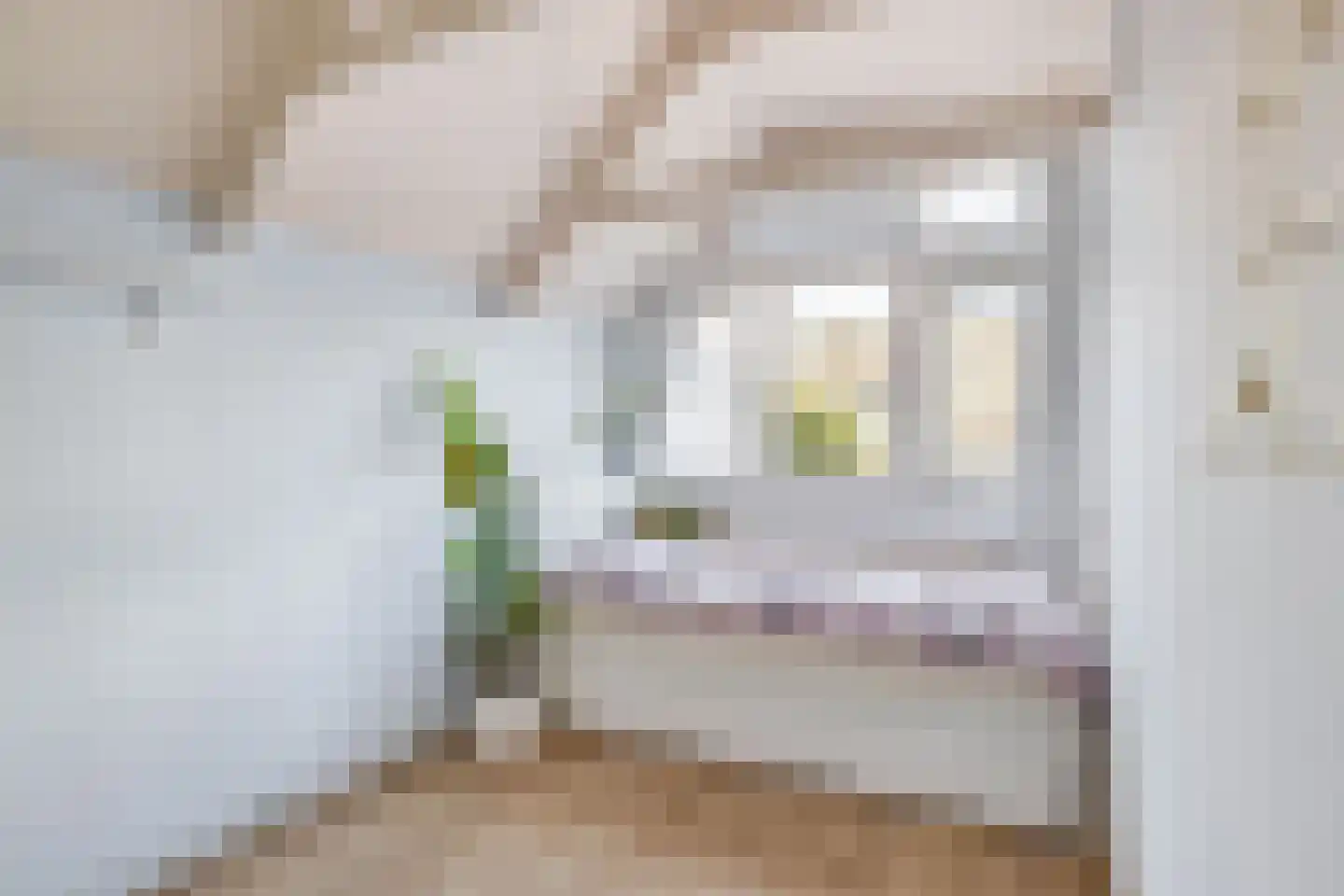 Gravin Sophialaan 3 Nieuwegein thumbnail 30