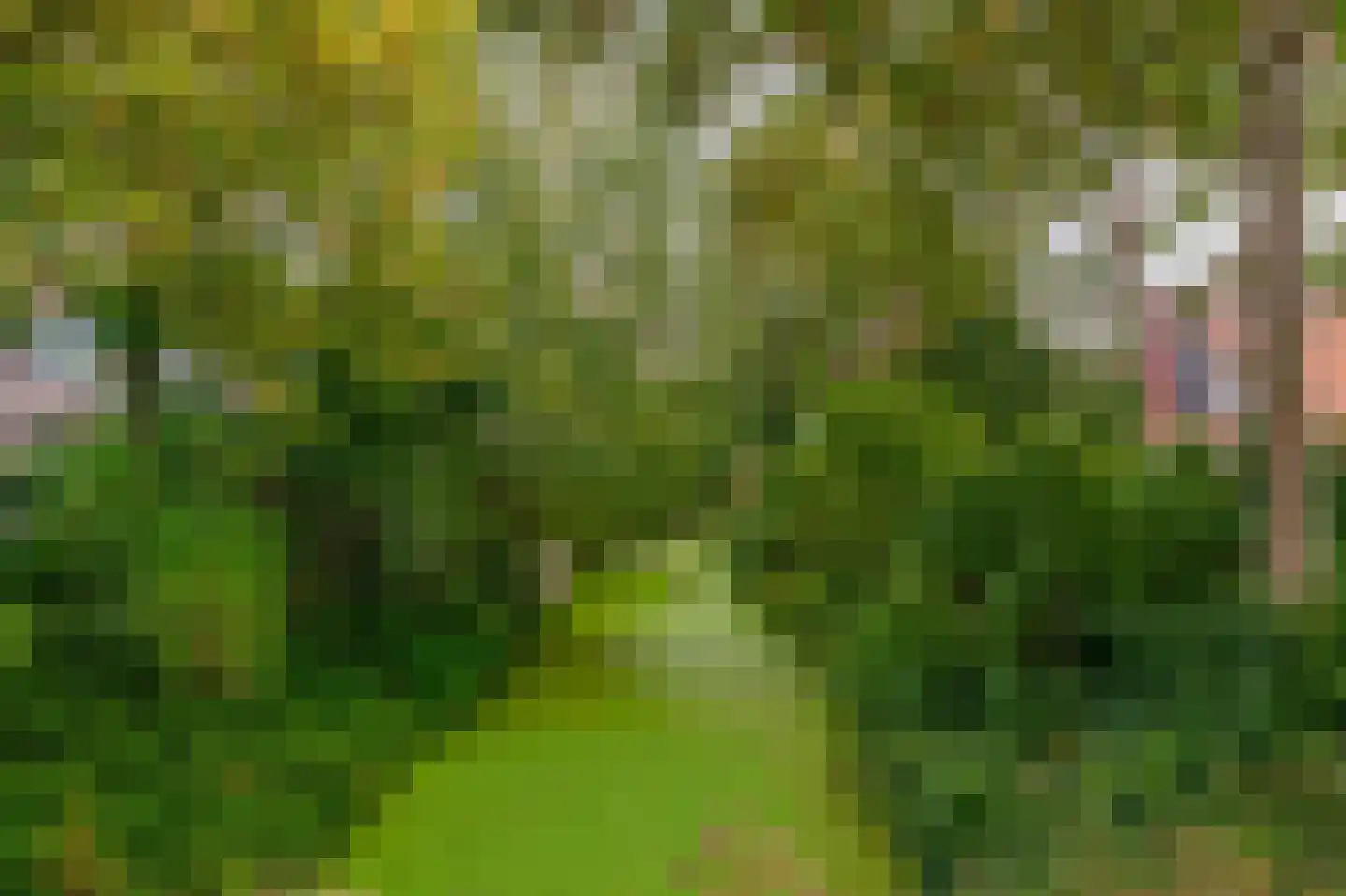 Gravin Sophialaan 3 Nieuwegein thumbnail 33