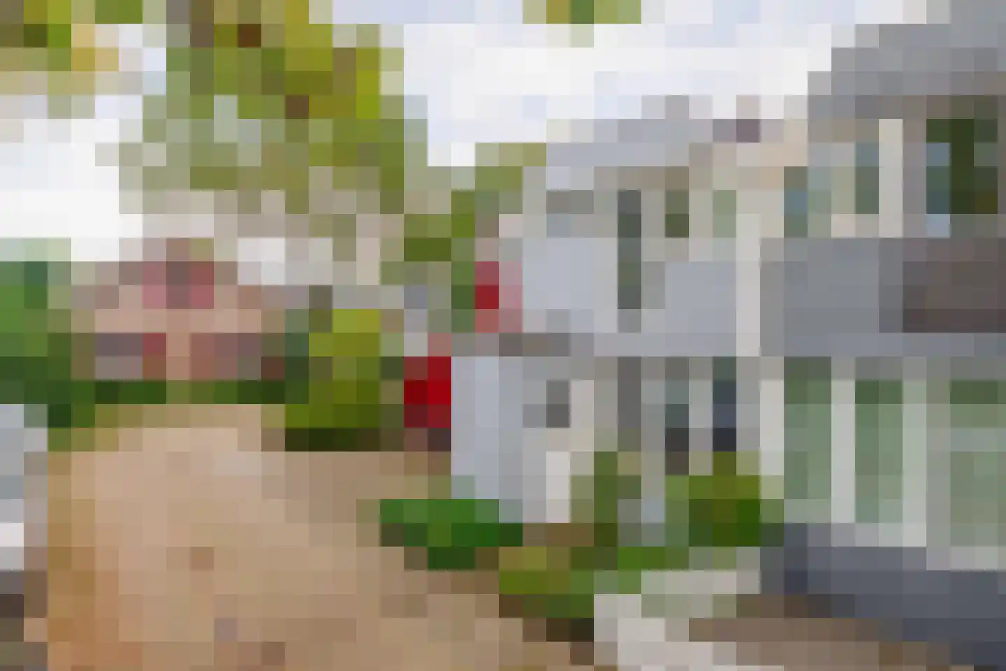 Gravin Sophialaan 3 Nieuwegein thumbnail 8