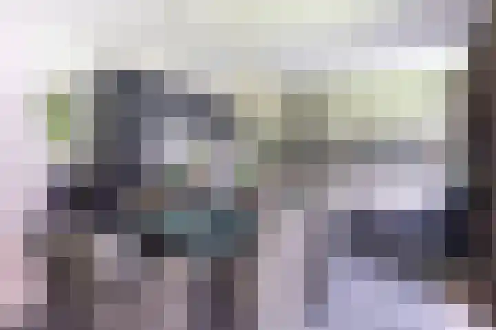 Gravin van Burenlaan 15 Eerbeek thumbnail 22