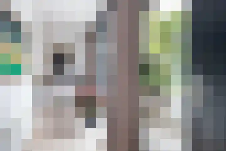 Gravin van Burenlaan 15 Eerbeek thumbnail 25