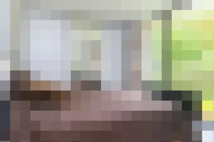 Gravin van Burenlaan 15 Eerbeek thumbnail 31