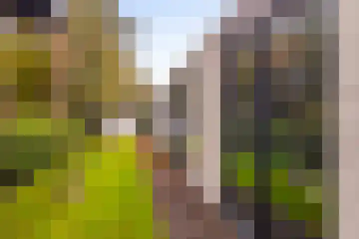 Gravin van Burenlaan 15 Eerbeek thumbnail 36