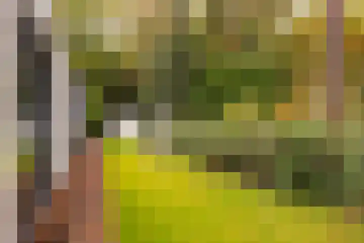 Gravin van Burenlaan 15 Eerbeek thumbnail 37
