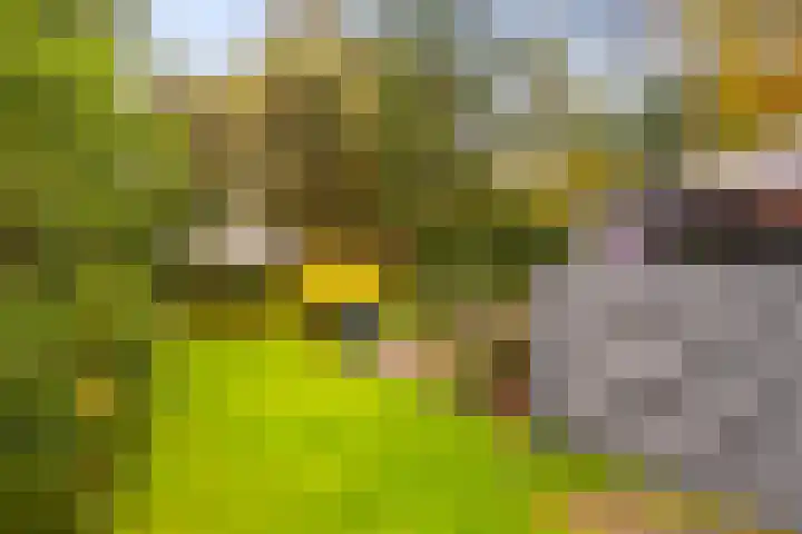 Gravin van Burenlaan 15 Eerbeek thumbnail 39