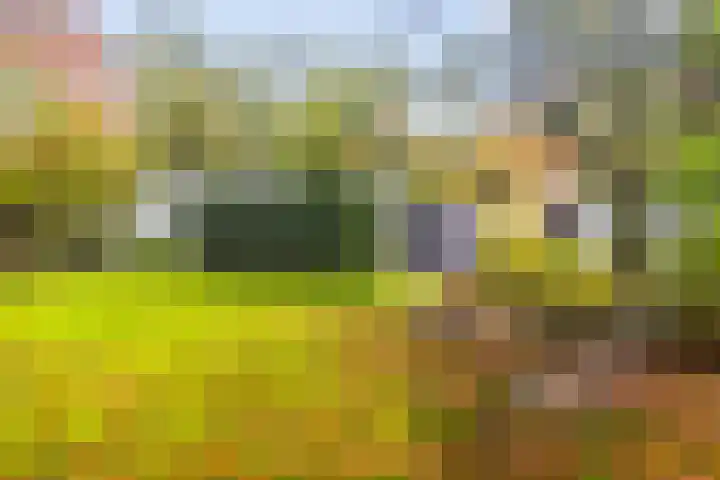 Gravin van Burenlaan 15 Eerbeek thumbnail 40