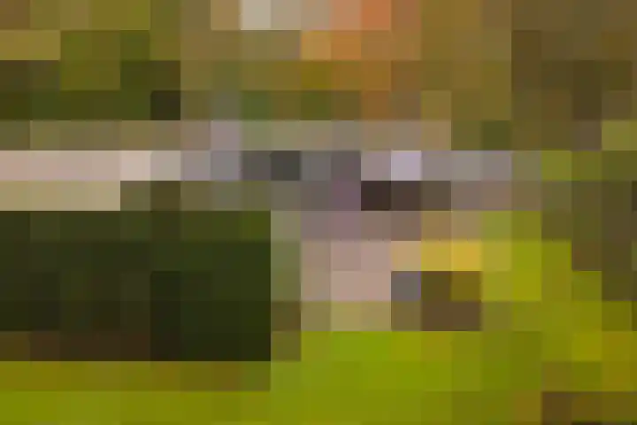 Gravin van Burenlaan 15 Eerbeek thumbnail 41