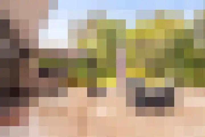 Gravin van Burenlaan 15 Eerbeek thumbnail 44