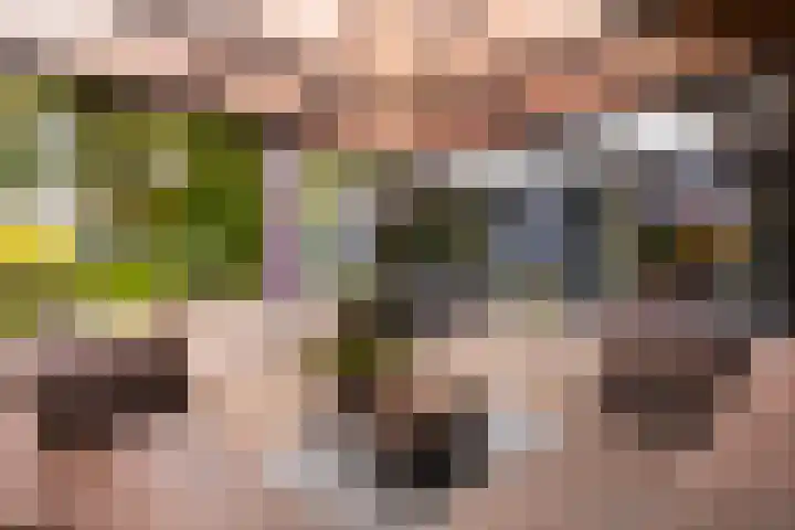Gravin van Burenlaan 15 Eerbeek thumbnail 45
