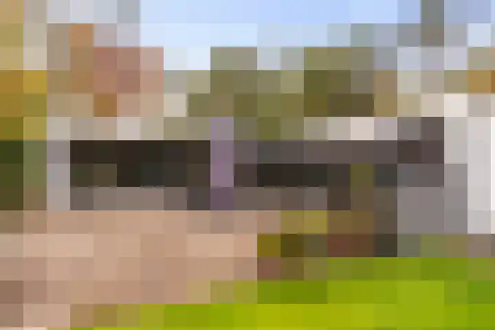 Gravin van Burenlaan 15 Eerbeek thumbnail 48