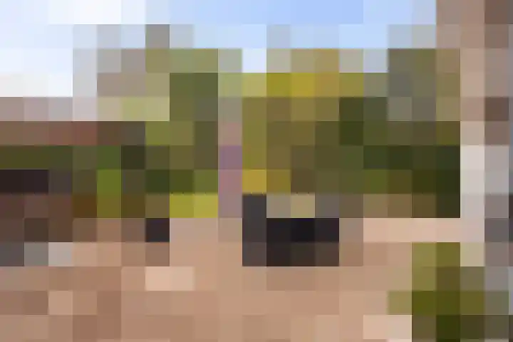 Gravin van Burenlaan 15 Eerbeek thumbnail 49