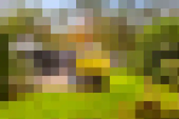 Gravin van Burenlaan 15 Eerbeek thumbnail 5