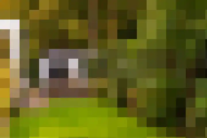 Gravin van Burenlaan 15 Eerbeek thumbnail 51