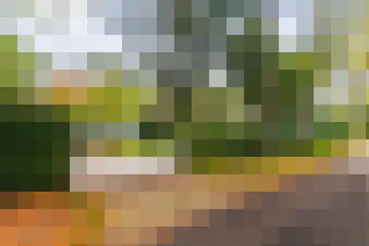 Gravin van Burenlaan 15 Eerbeek thumbnail 6