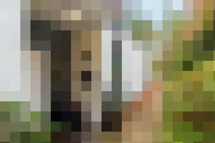 Gravin van Burenlaan 15 Eerbeek thumbnail 8