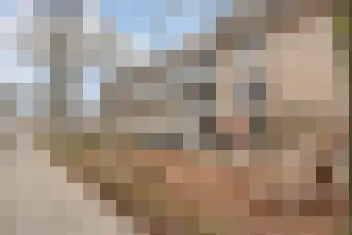 Gravin van Burenlaan 151 Amersfoort thumbnail 24