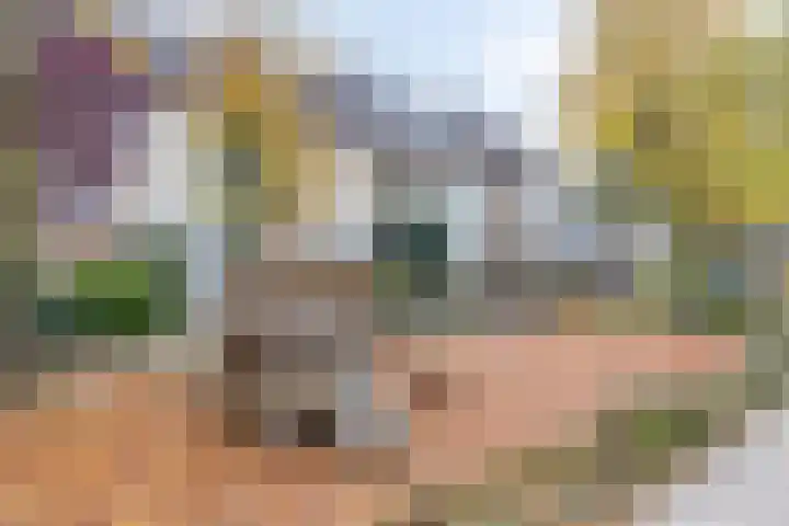 Gravin van Burenlaan 23 Amersfoort thumbnail 28